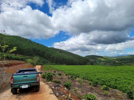 Chính chủ bán lô đất 598m2 tại Thị Trấn Nam Ban - Lâm Hà - Lâm Đồng giá 666 triệu