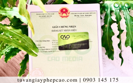 C.A.O Media đăng ký Nhãn hiệu hàng hóa cho cá thu đóng hộp