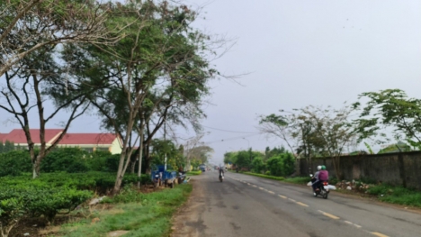 Cần bán đất thổ cư , DT 10x25 m, sổ hồng riêng , chính chủ. Đường lý thường kiệt.