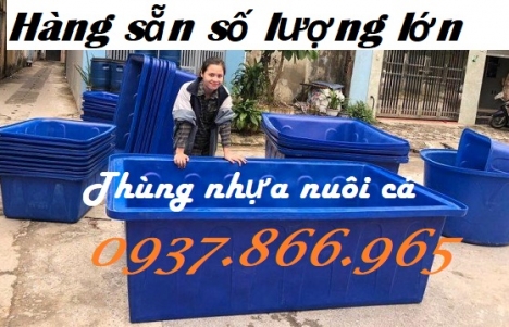 Thùng nhựa trồng sen, thùng nhựa HDPE dung tích lớn, giá thùng nhựa hình chữ nhật