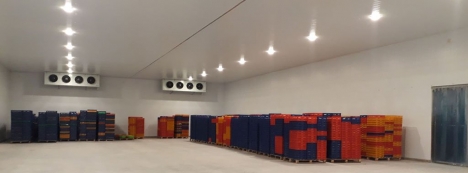 Cần mua kho lạnh cũ giá tốt