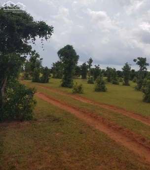 Bán đất nông nghiệp bình thuận sổ sẵn cách công viên safari 4km chỉ 645tr bao sang sổ Lh 0938677909