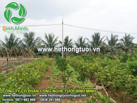 Béc tưới cỏ phun mưa nhập khẩu, van điện từ hunter usa, cảm biến mưa hunter, van lấy nước nhanh qcv