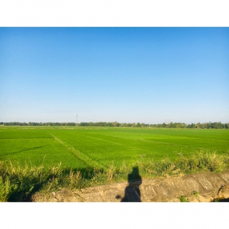 Đất Điện Hòa-View cánh đồng-Diện tích lớn thích hợp mua xây nhà vườn