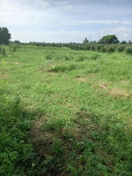 Đất Đẹp View Sông Caty - Thôn Phú Mỹ - Hàm Mỹ - Bình Thuận