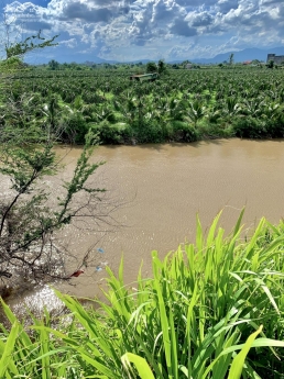 Đất Đẹp View Sông Caty - Thôn Phú Mỹ - Hàm Mỹ - Bình Thuận