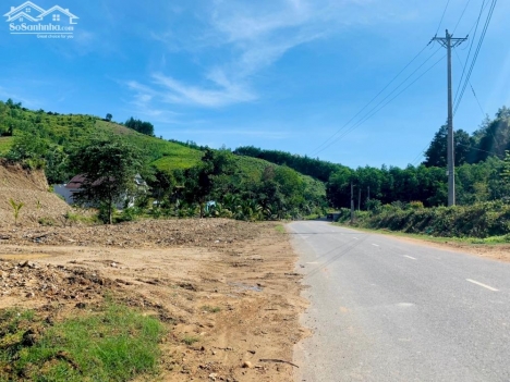 Đất thổ cư đường nhựa 500k/m2