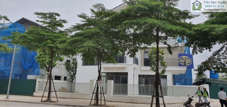 bán biệt thự Dương Nội khu D hà đông