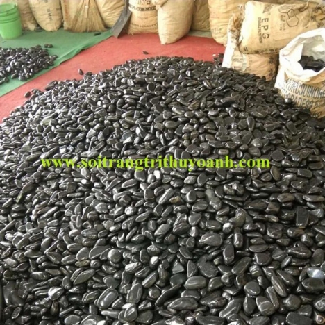 Sỏi đen bóng rải hồ bơi, phòng tắm