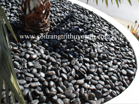 Sỏi đen bóng rải hồ bơi, phòng tắm