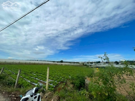 Đất đầu tư tại Thị Trấn Thạnh Mỹ - Đơn Dương - Lâm Đồng, sổ riêng, thổ cư sẵn giá 560 triệu