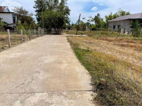 Đất Thanh An - Ngã Tư Sòng siêu đầu tư