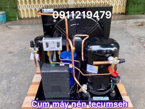 cụm máy nén tecumseh 3hp nhập khẩu chính hãng