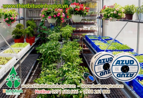 Đầu tưới nhỏ giọt, vòi tưới nhỏ giọt, thiết bị tưới nhỏ, nhỏ giọt bù áp, nhỏ giọt 8 tia