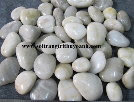 Sỏi trắng bóng trang trí tiểu cảnh nội thất