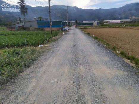 chính chủ bán ngay lô đất  tại hiệp an đức trọng