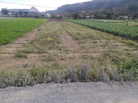 chính chủ bán ngay lô đất  tại hiệp an đức trọng