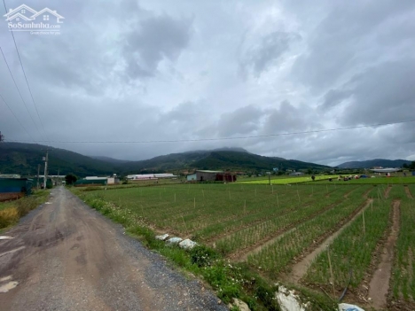 chính chủ bán ngay lô đất  tại hiệp an đức trọng