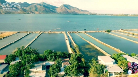 Bán Lô Đất View Đầm Thủy Triều Giá Rẻ Nhất Khu Vực