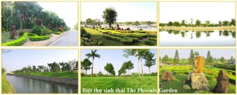 Chính chủ cầnbán nhanh lô biệt thự sinh thái Đan Phượng The Phoenix Garden giá tốt