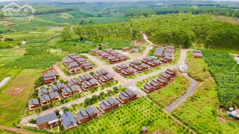 Tropicana Garden Biệt Thự Nghỉ Dưỡng