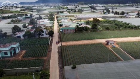 ĐẤT ĐẦU TƯ F0 MÙA DỊCH