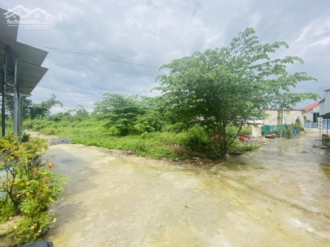 Đất Diên Hoà - Diên Khánh full thổ giá 420tr