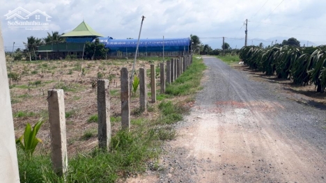 Đất Mương Mán-Hàm Thuận Nam-DT 7.856m2 cây hàng năm,gần bên dự án phân lô.