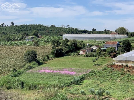 bán hơn 500m2 đất tại lâm hà giá 950 tr  tặng 100m thổ cư