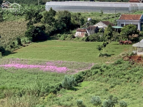 bán hơn 500m2 đất tại lâm hà giá 950 tr  tặng 100m thổ cư