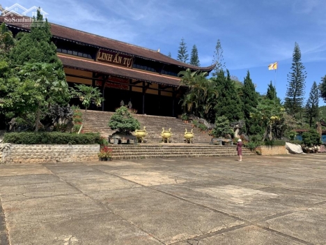 bán nhanh lô đất tại lâm hà gần chùa linh ẩn tặng 100m thổ cư