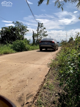 chính chủ bán đất thổ cư giá 666 ttr / 1003m2 tặng 100m thổ cư