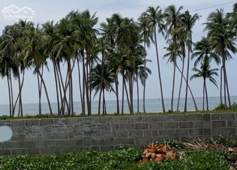 Nhiều Đất Mặt Tiền Đường Huỳnh Thúc Kháng-Hàm Tiến-Phan Thiết-Bình Thuậ