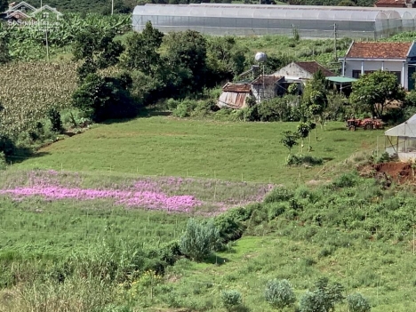 bán đất ngay trung tâm tt