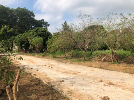 đất chợ Phú Ninh ,Sóc Sơn 5.5tr/m2 ,sổ đỏ , đất chính chủ