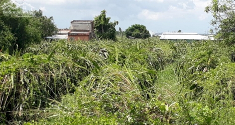 Đất Mẫu Giá Rẻ-Hàm Cường ranh giới Hàm Kiệm-Hàm Thuận Nam-Bình Thuận-DT 1Ha+2,6Ha .