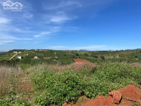 Đất nghỉ dưỡng hay đầu tư tại xã Nam Hà - huyện Lâm Hà - Tỉnh Lâm Đồng, sổ hồng riêng, thổ cư giá 95