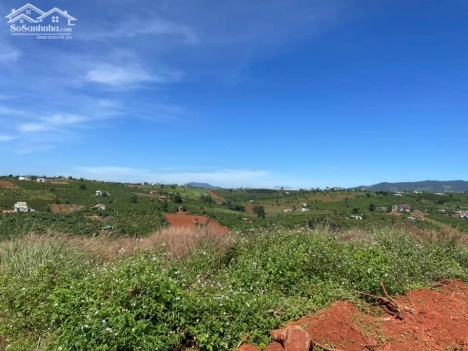 Đất nghỉ dưỡng hay đầu tư tại xã Nam Hà - huyện Lâm Hà - Tỉnh Lâm Đồng, sổ hồng riêng, thổ cư giá 95