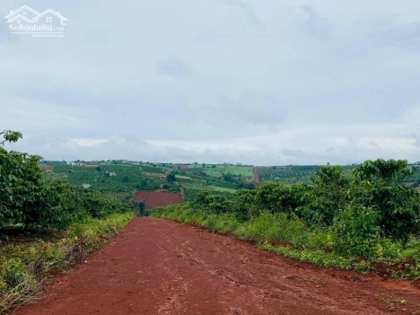 Đất nghỉ dưỡng hay đầu tư tại xã Nam Hà - huyện Lâm Hà - Tỉnh Lâm Đồng, sổ hồng riêng, thổ cư giá 95