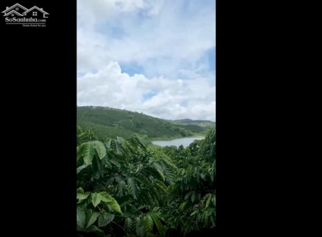 Lô đất rẻ đẹp tại Đức Trọng, Lâm Đồng, giáp hồ thủy Điện Đại Ninh.