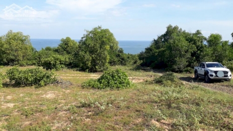 Đất Ven Biển-Tiến Thành-Phan Thiết-Bình Thuận-10.600m2CLN-Đường Trần Lê nối dài.