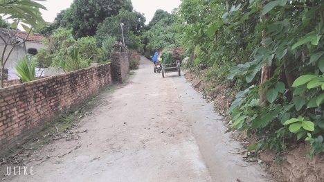 cần bán đất Phú Thịnh , Minh Phú , Sóc Sơn 500tr đến 600tr