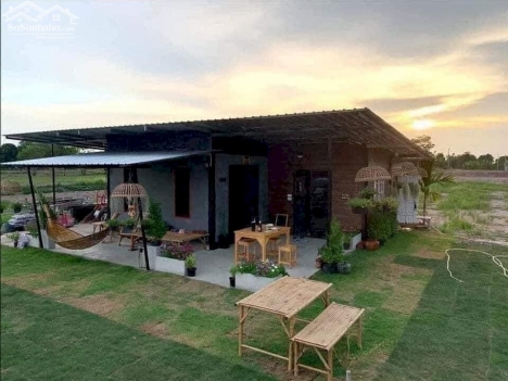 Vườn Trái Cây 459 Triệu/1000m2 Ngay Thị Xã Cần Bán