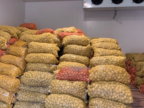 sửa chữa kho lạnh bảo quản khoai tây
