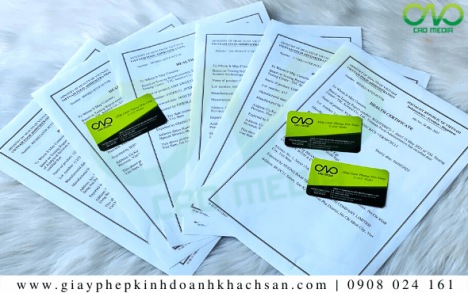 Tư vấn xin giấy chứng nhận Health Certificate mì rau củ