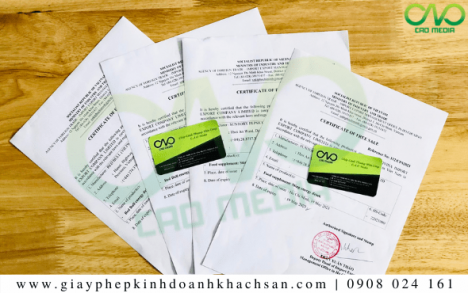 Xin giấy phép Certificate of free sale mì rau củ [GIÁ RẺ]