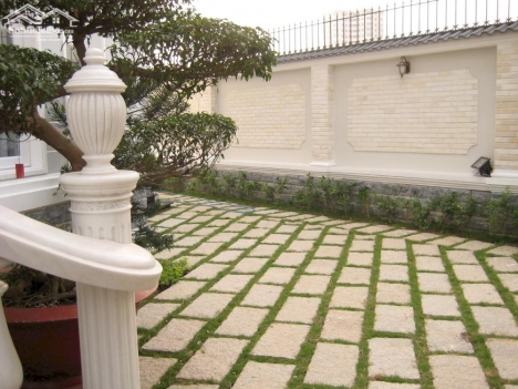 Cho thuê biệt thự An Phú An Khánh, Phường An phú, Q2.