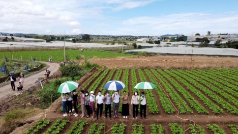 Chính chủ cần bán đất F0 ngay trung tâm Thạnh Mỹ, 125m2, sẵn sổ hồng