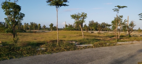 đất nền đô thị nghĩ dưỡng ven sông cổ cò chỉ 15 triệu 1m2