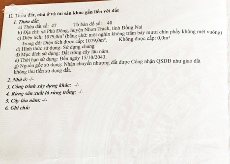 Hậu Covid ra gấp 2 lô đất Nhơn Trạch, Đồng Nai